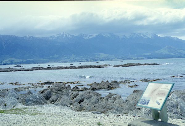 NZ-17-0001
