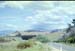 NZ-16-0002