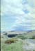NZ-16-0005