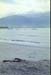 NZ-16-0019