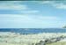 NZ-16-0025