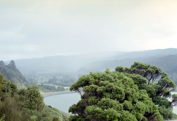NZ-02-0001