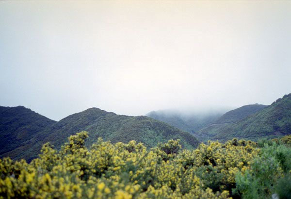 NZ-02-0005