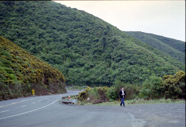 NZ-02-0007