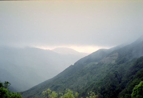 NZ-02-0009