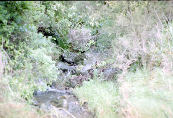 NZ-02-0010