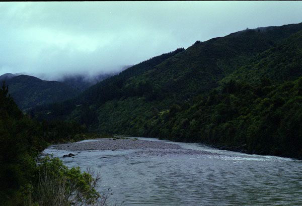 NZ-02-0012