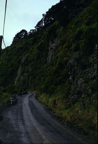 NZ-02-0014