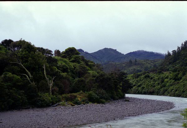 NZ-02-0015
