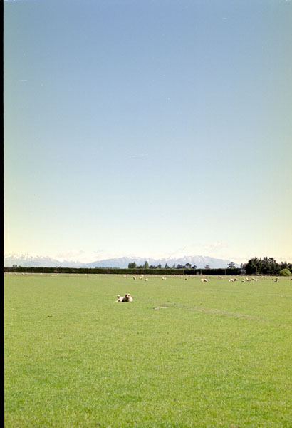 NZ-17-0002