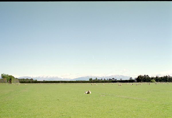 NZ-17-0003