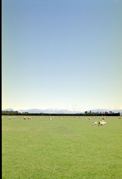NZ-17-0006