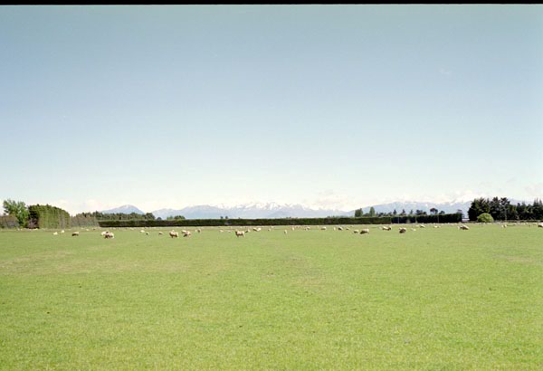 NZ-17-0007
