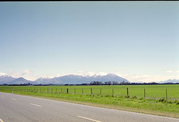 NZ-17-0008