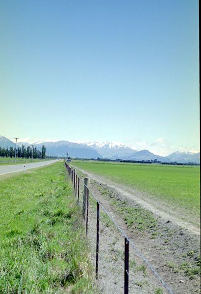 NZ-17-0009