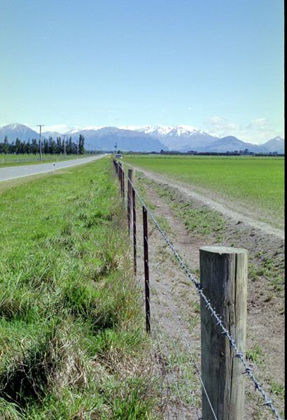 NZ-17-0010