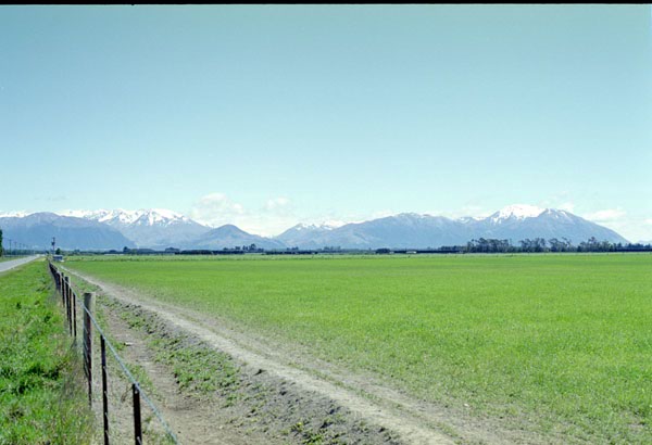 NZ-17-0011