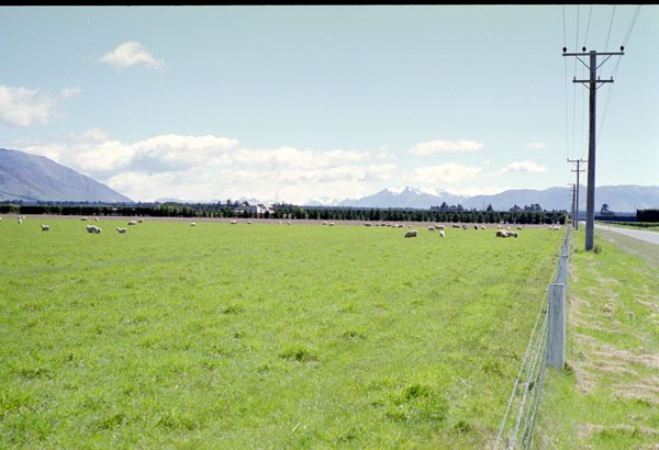 NZ-17-0015
