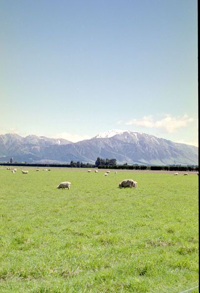 NZ-17-0016