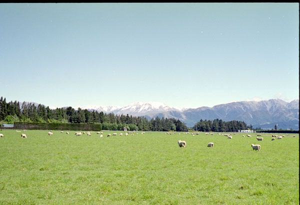 NZ-17-0018