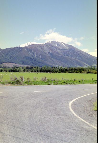 NZ-17-0019
