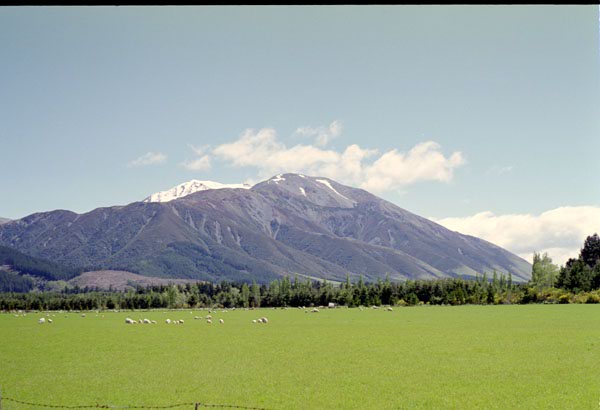 NZ-17-0022