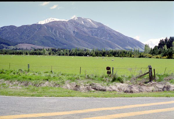 NZ-17-0035