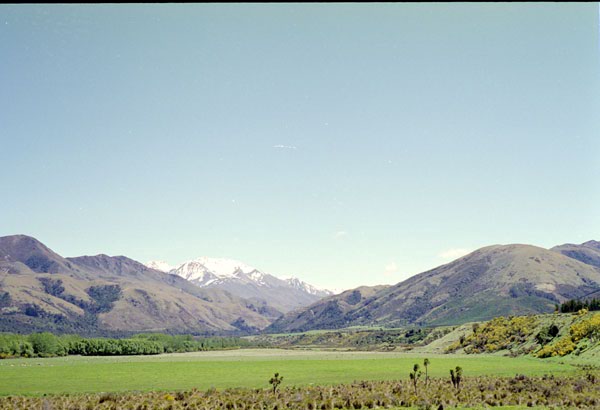 NZ-18-0001