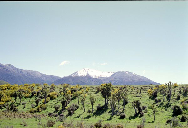 NZ-18-0002