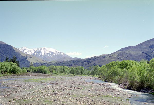 NZ-18-0004