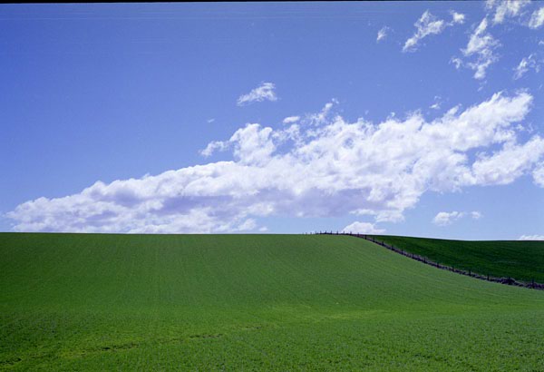 NZ-18-0008