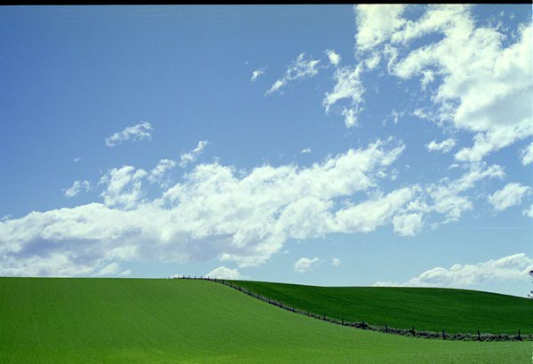 NZ-18-0009