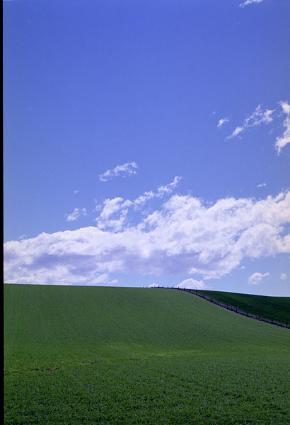 NZ-18-0010