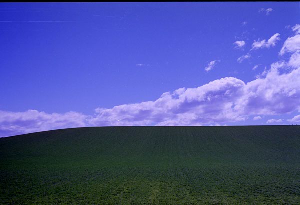 NZ-18-0014