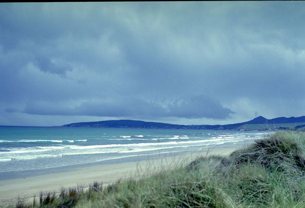 NZ-18-0016