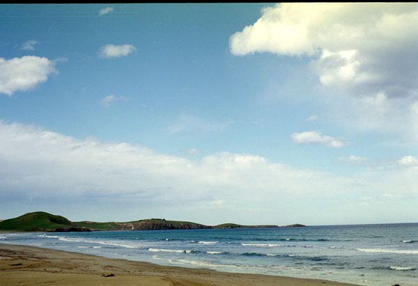 NZ-18-0018