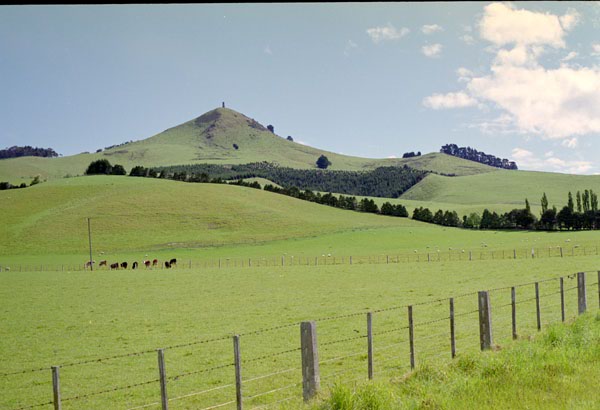 NZ-18-0020