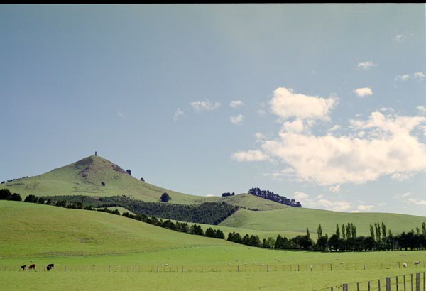 NZ-18-0021