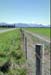 NZ-17-0010