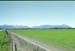 NZ-17-0011