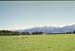 NZ-17-0012