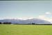 NZ-17-0013