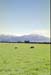 NZ-17-0016