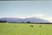 NZ-17-0017