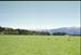 NZ-17-0018