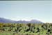 NZ-18-0002