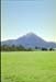 NZ-18-0006