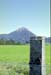 NZ-18-0007