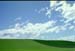 NZ-18-0009