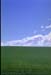 NZ-18-0013